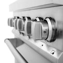ZLINE 30 in. Kitchen Package with Stainless Steel Dual Fuel Range, Range Hood, Microwave Drawer and Tall Tub Dishwasher (4KP-RARH30-MWDWV) knobs close-up.