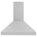 ZLINE Professional Convertible Vent Wall Mount Range Hood in Stainless Steel (597)