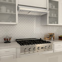 ZLINE Kitchen and Bath, ZLINE 623 Under Cabinet Range Hood, 623-30,