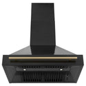 ZLINE Autograph Edition 36 in. Kitchen Package with Black Stainless Steel Dual Fuel Range, Range Hood and Dishwasher with Polished Gold Accents (3AKP-RABRHDWV36-G) 