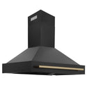 ZLINE Autograph Edition 48 in. Black Stainless Steel Range Hood with Handle (BS655Z-48) Champagne Bronze